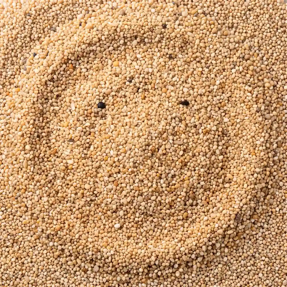 Arena de playa fina disponible en Áridos Miko