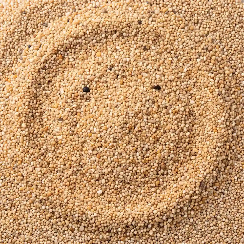 Arena de playa fina disponible en Áridos Miko
